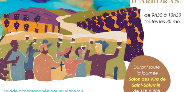 Ballade Vins, Vignes et Terroirs