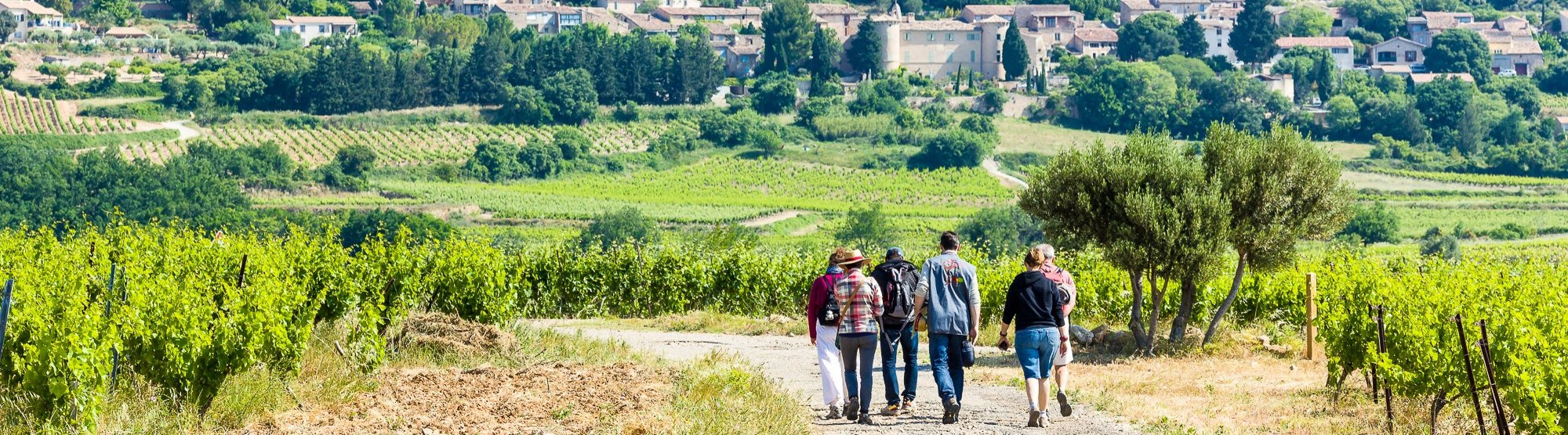 Balade vigneronne à Saint Saturnin